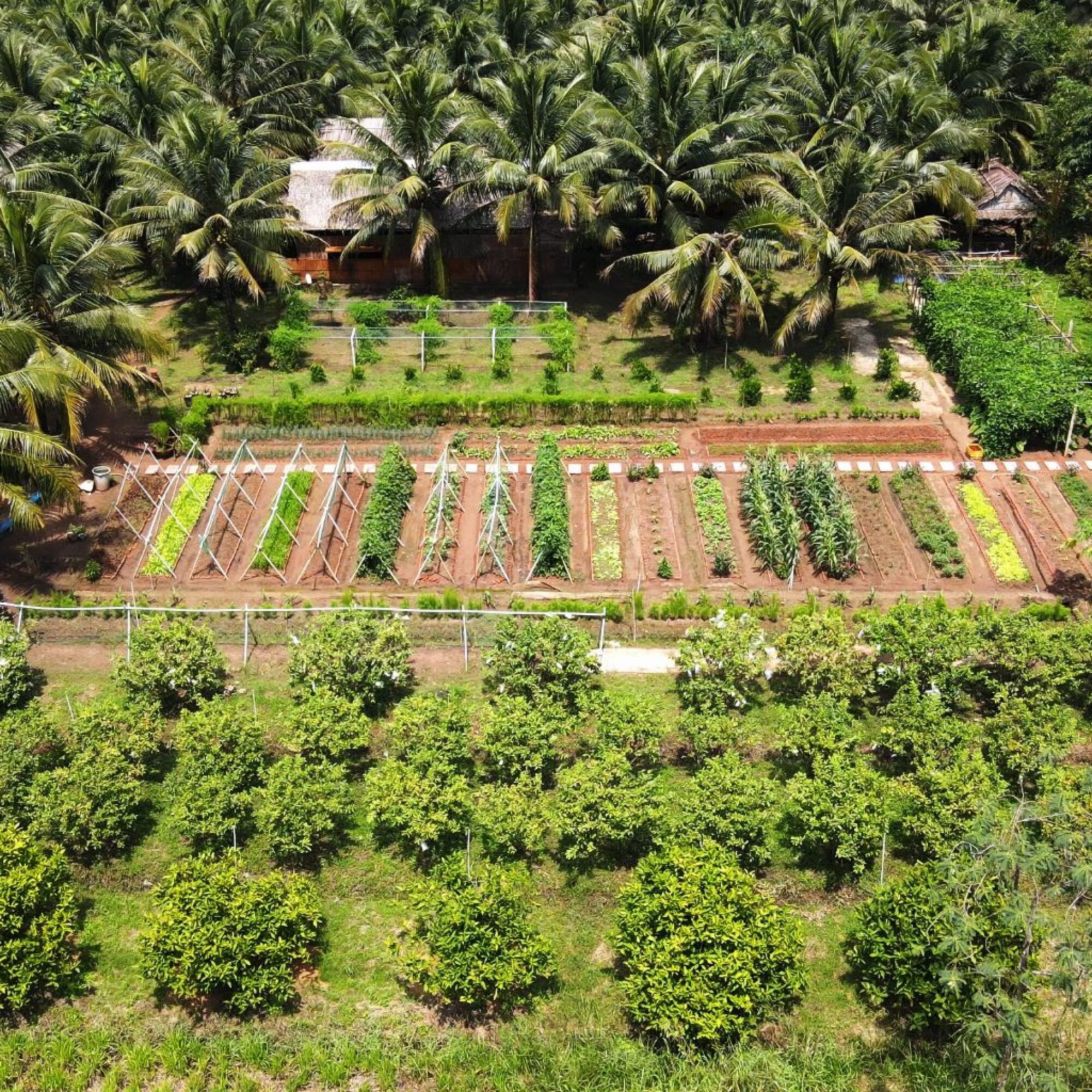 Riverside Garden - vườn rau