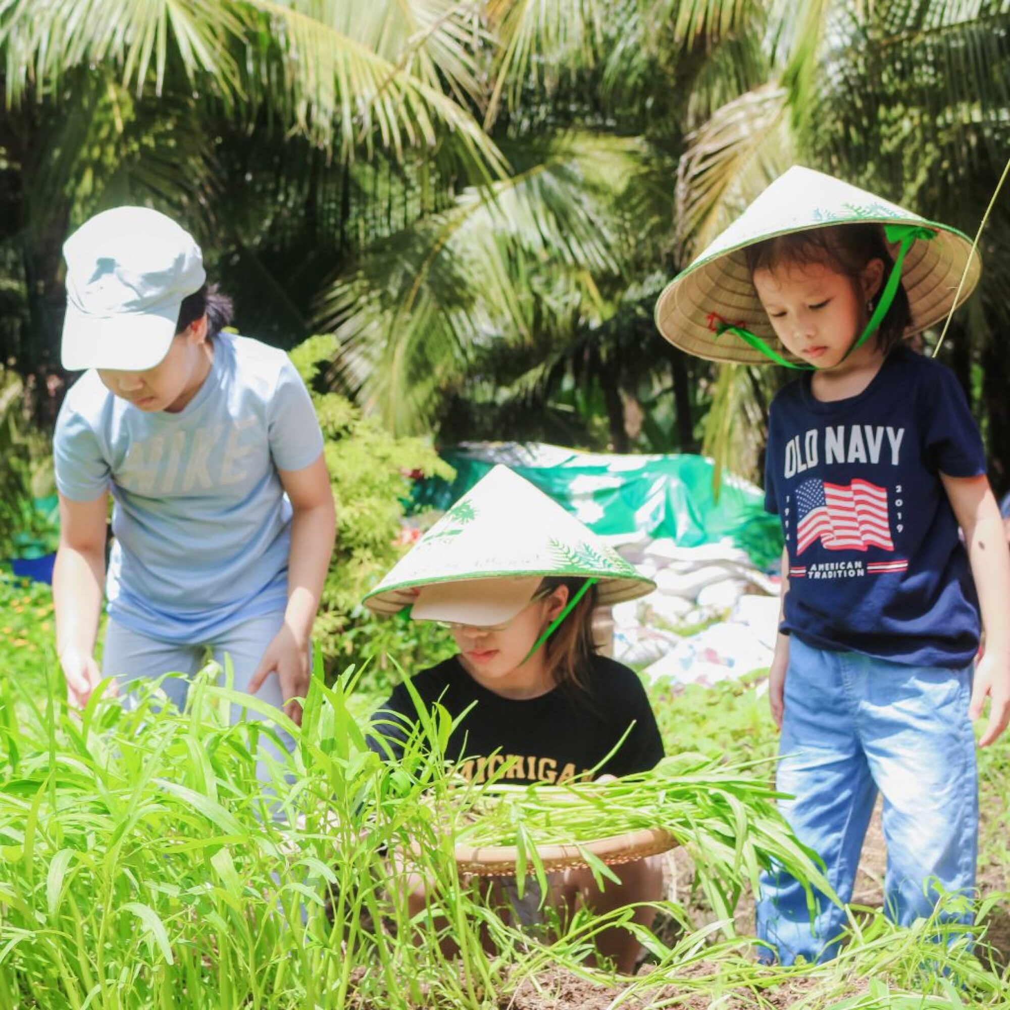 Riverside Garden - thu hoạch nông sản