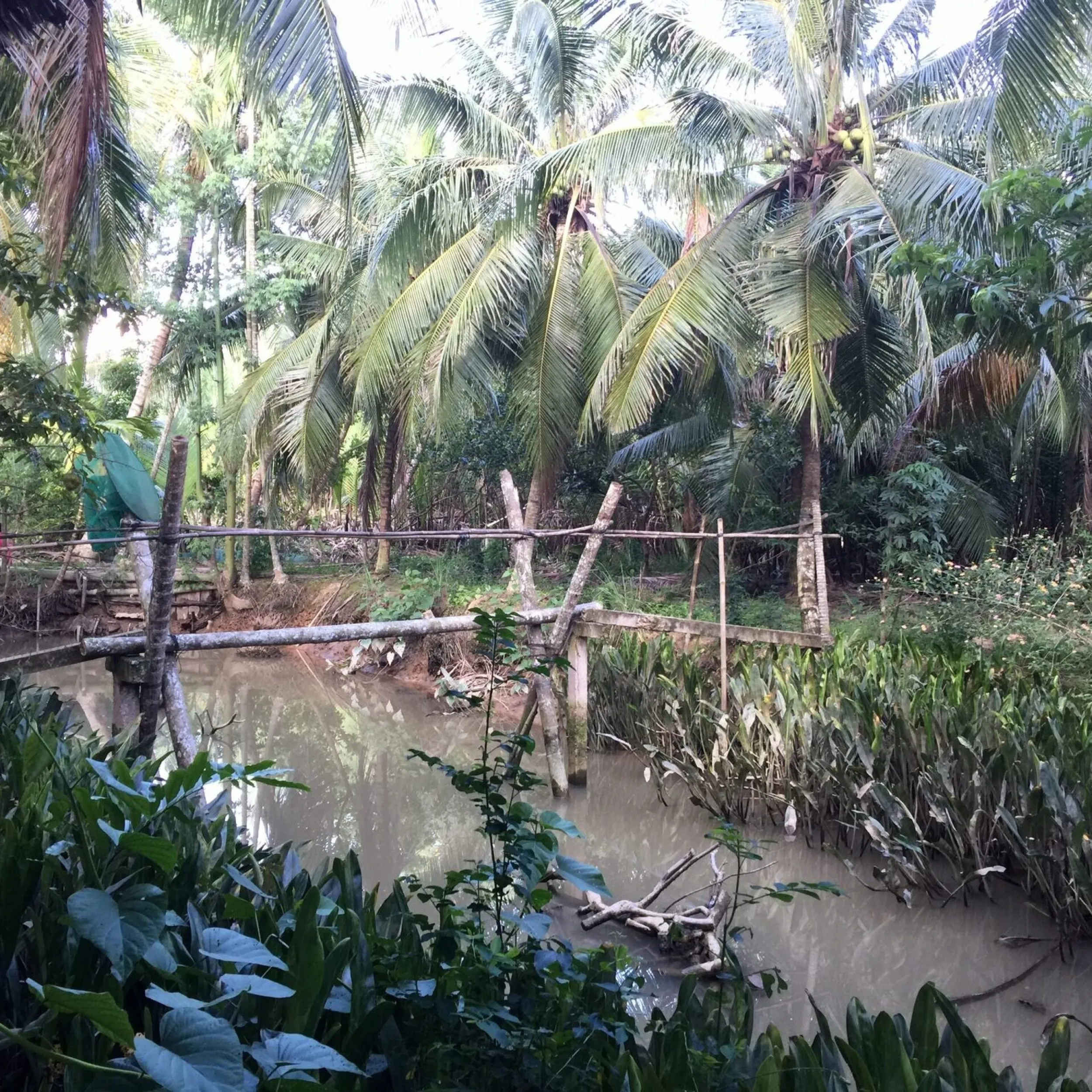 Tour-nhơn thạnh