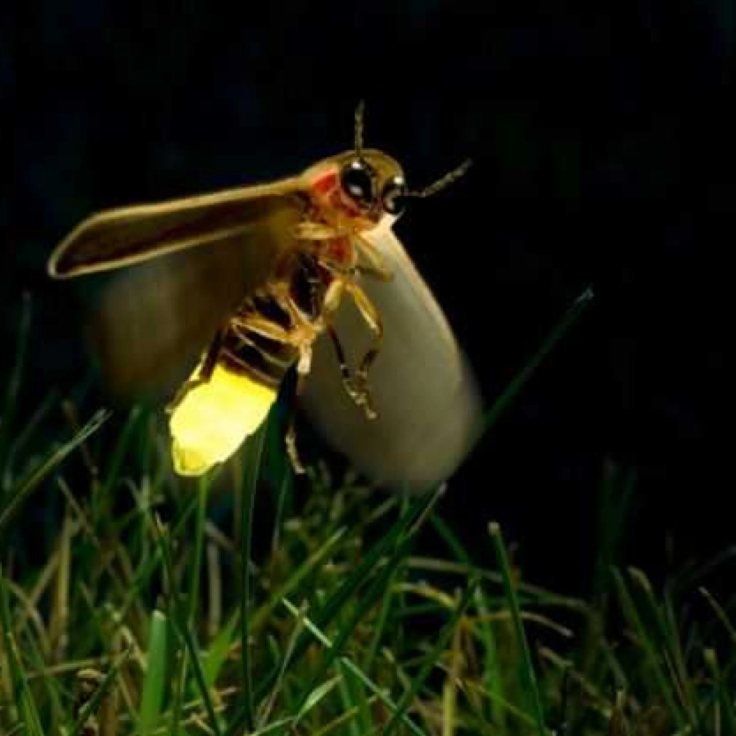 tour_img-386058-146